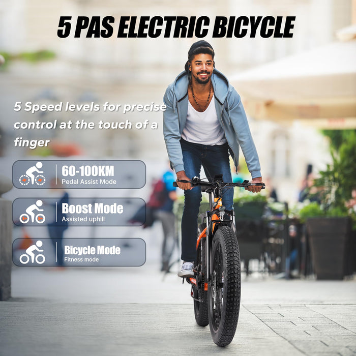 VARUN Electric Bikes for Adults, 26''*4.0 Fat Tire Electric Mountain Bike with 48V/13Ah Lithium Battery, LCD Display with 5-PAS, E-fatbike with 4 Riding Mode, Mileage 100KM